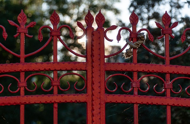 Bez kvalitní brány se neobejdu.